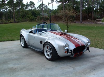 Cobra4.jpg