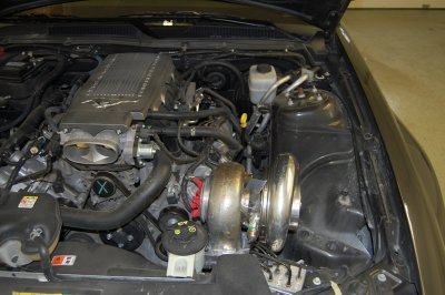 DSC_0099.JPG