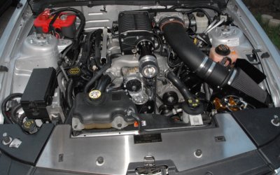 BAP_6131.JPG