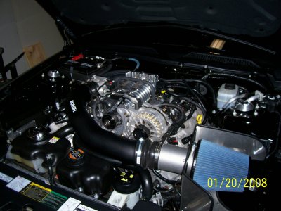 dyno graph 175.jpg