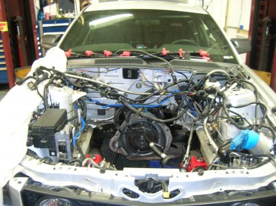 DSCN1463.jpg