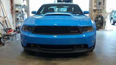 Saleen Grill 2.jpg