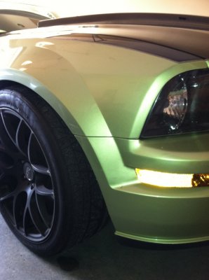 Fiona - Front Quarter Panel (2).jpg