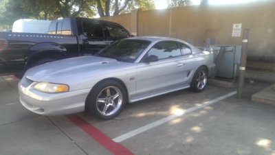 SN95_1.JPG