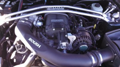 bulllitt engine pic.jpg