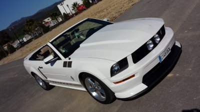 20150331_114413.jpg