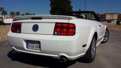 20150331_114619.jpg