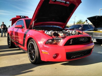 Twin_Shelby_Boss.JPG