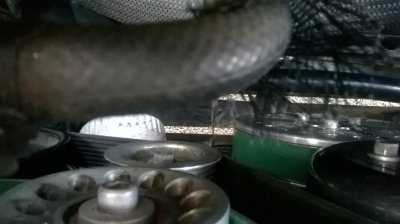 8-Rib_Idler-PS-Pulley.jpg