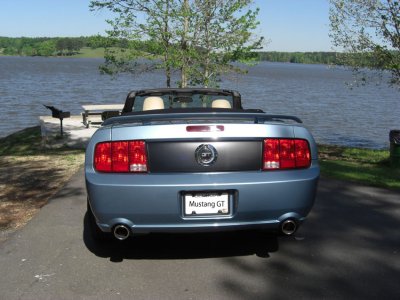 Mustang Rear.jpg