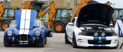 cobra_stang.jpg
