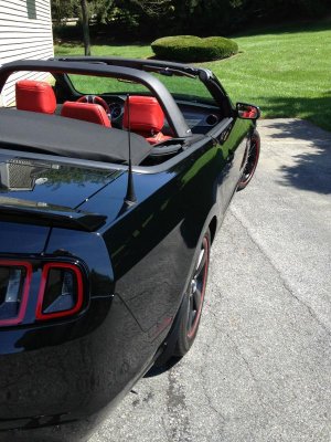 Mustang 2.jpg