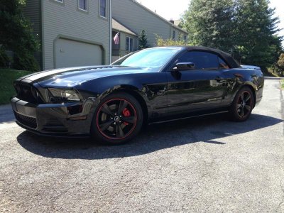 Mustang 1.jpg
