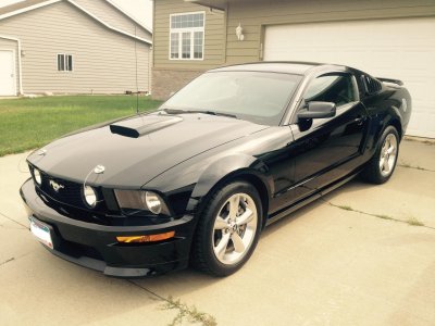 stang.jpg