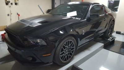 2013 gt500 small.jpg