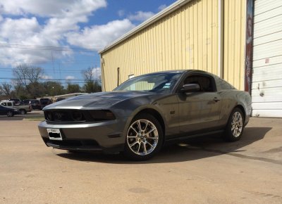 MUSTANG PHOTO 3.jpg