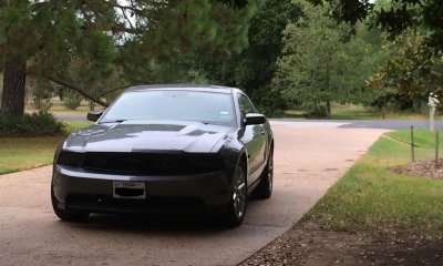 MUSTANG PHOTO 1.jpg