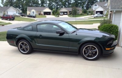 Mustang II.jpg