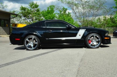 mustang 1.jpg