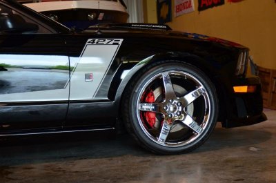mustang 2.jpg