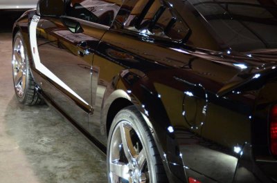 mustang 3.jpg