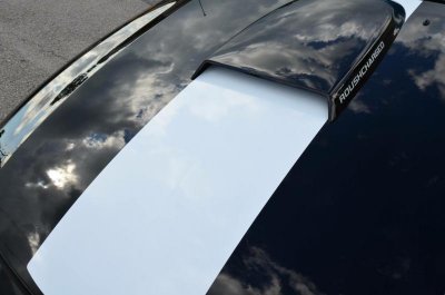 mustang 4.jpg