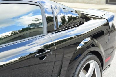 mustang 5.jpg