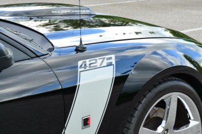 mustang 6.jpg