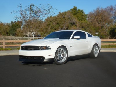 mustang 1.jpg