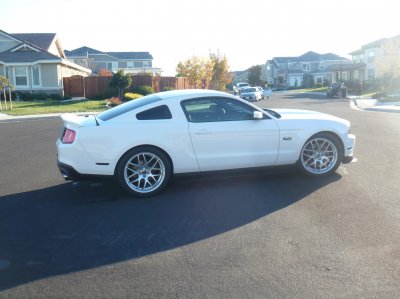 mustang 2.jpg