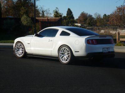 mustang 4.jpg