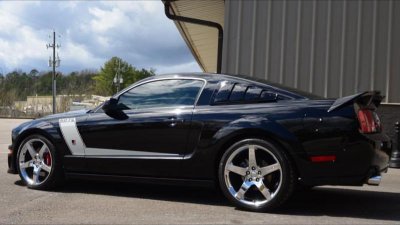 mustang 7.jpg