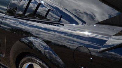 mustang 8.jpg