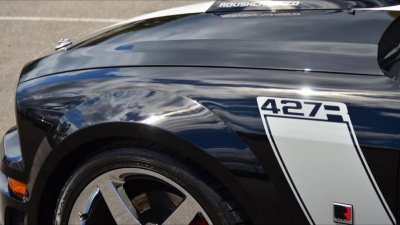 mustang 10.jpg