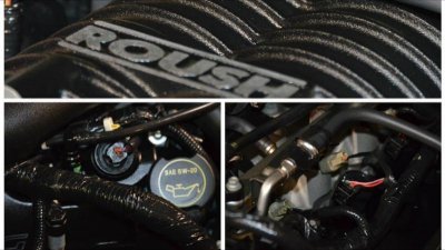 mustang 13.jpg