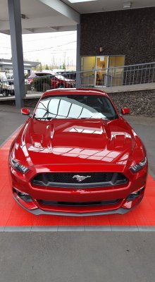 2016 Mustang GT Premium Ruby Read.jpg