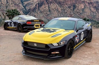 shelby-terlingua-mus-3_600x0w.jpg