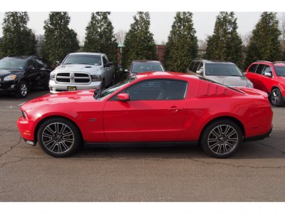 Mustang 10.jpg