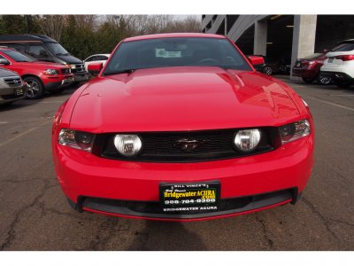 Mustang 3.jpg