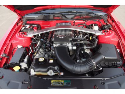Mustang 5.jpg