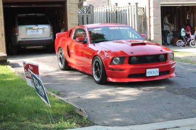 IMG_2272_800x533.JPG