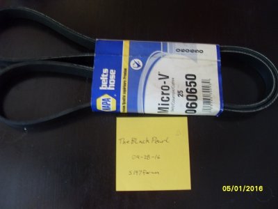 Belt 1.jpg