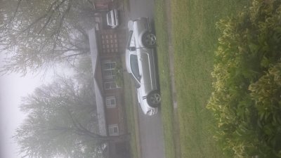 20160330_135645.jpg