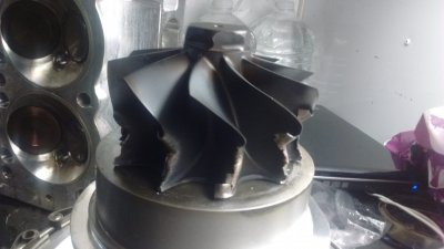 13173114_10206646424182734_3680868566525224766_o.jpg