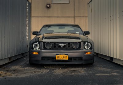 DSC_0250.jpg