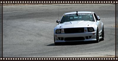 WS5.jpg