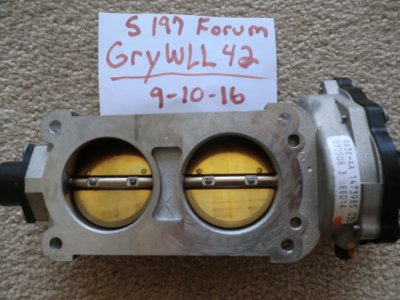 CIMG0944.jpg