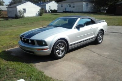 stang1.jpeg