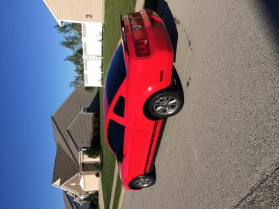 IMG_1678.jpg