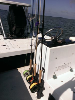 WP_20161215_001.jpg